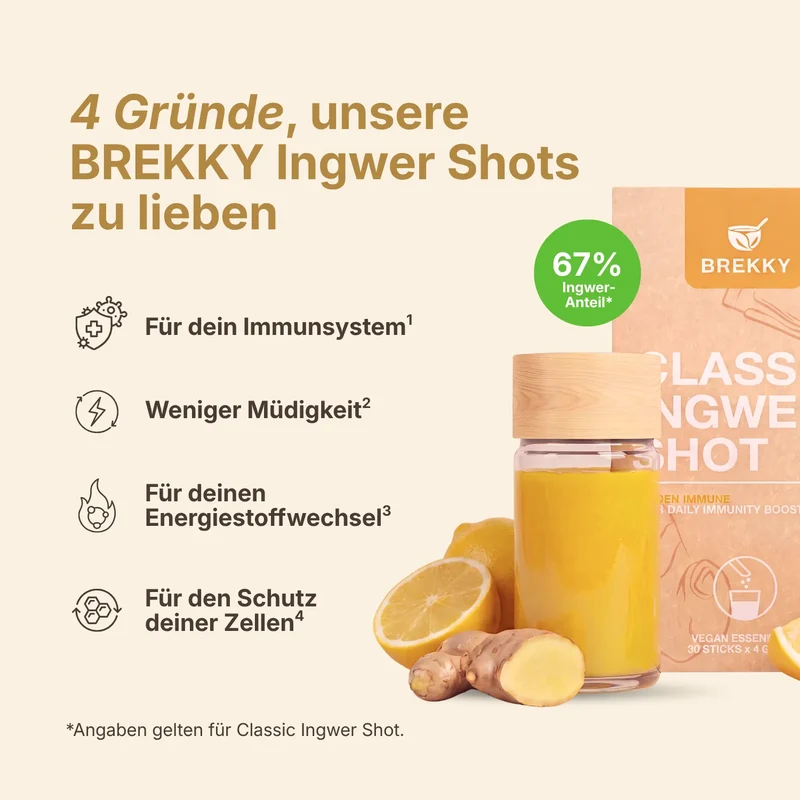 Ingwer Shot Probierpaket