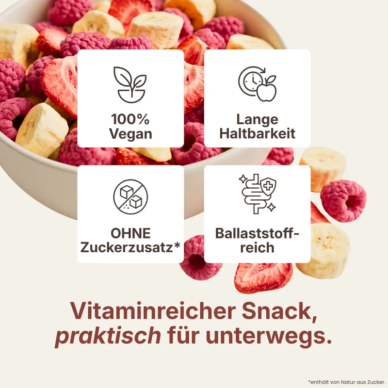 Gefriergetrocknete Früchte I Probierpaket