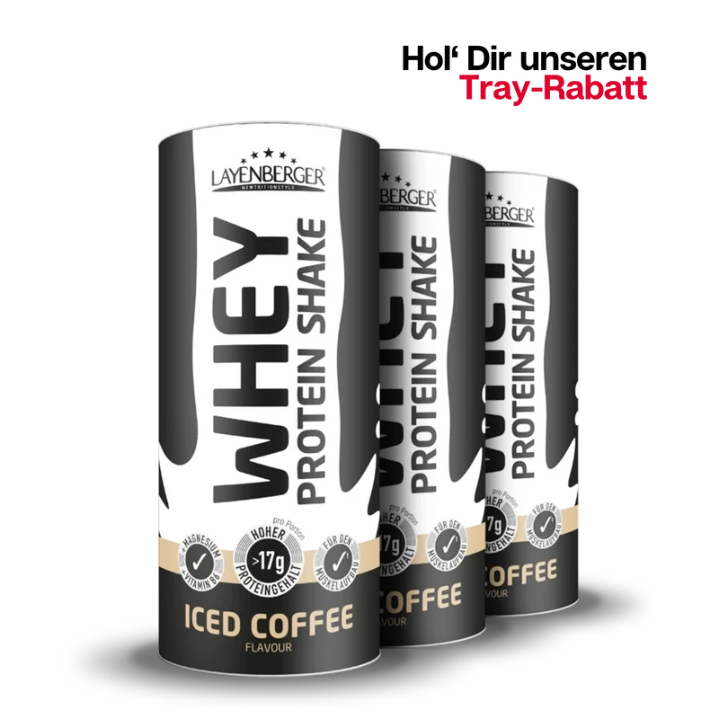 WHEY PROTEIN SHAKE Iced Coffee 3er Karton