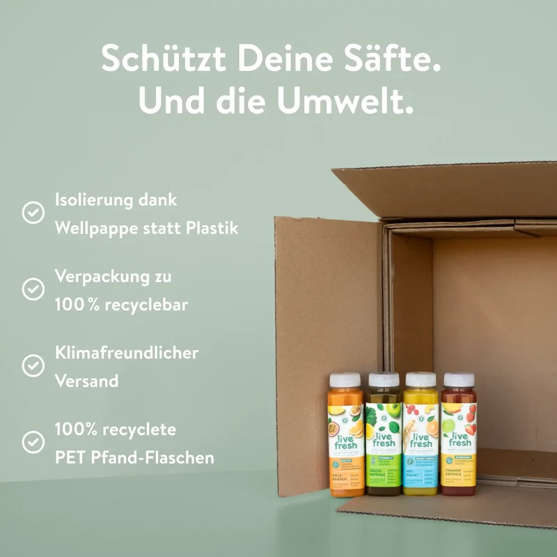 3 Tage – Klassische Saftkur