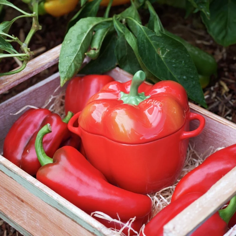 Mini cocotte cerámica hortalizas Staub