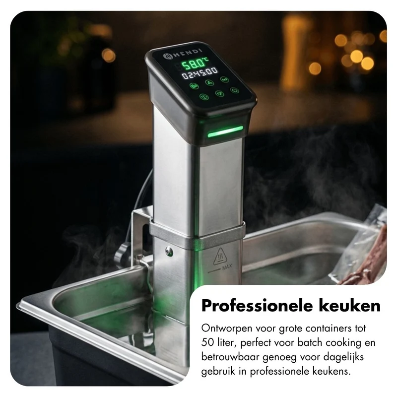 Sous vide stick 50