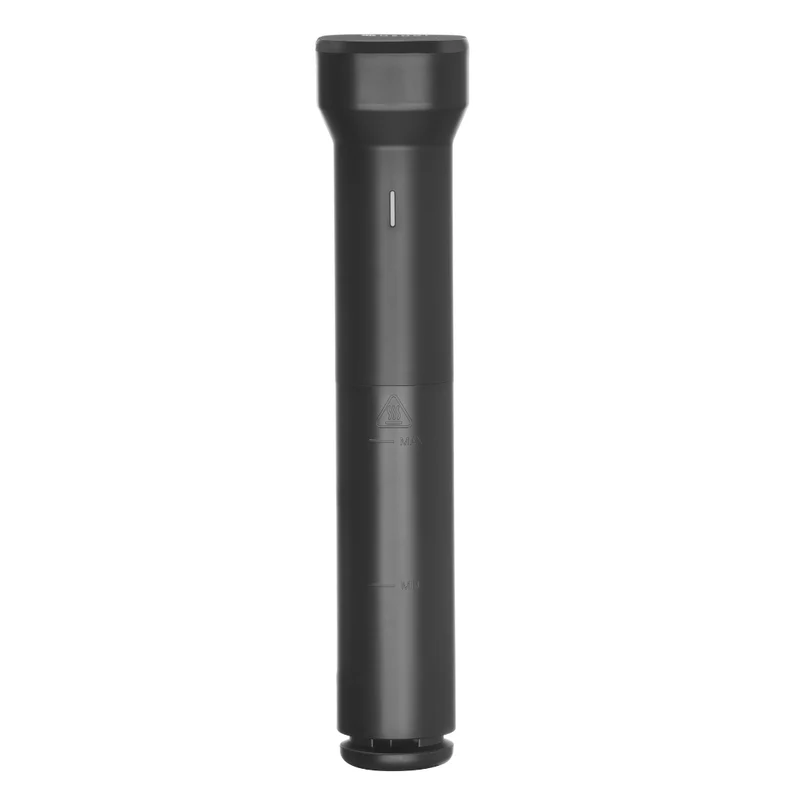 Sous vide stick 30