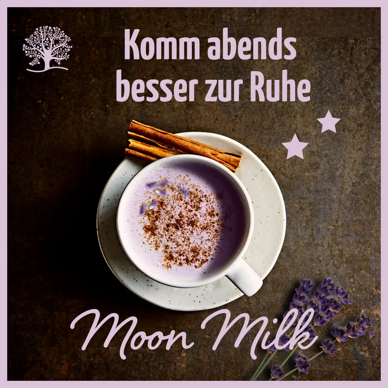 Mond Milch Mischung 3er Bio Set + Frischhaltedosen