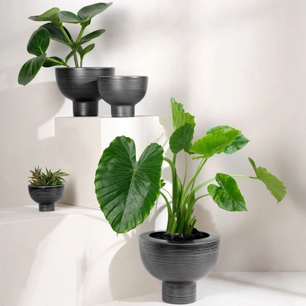 ASA Selection "midoro" Übertopf 15,5 cm black