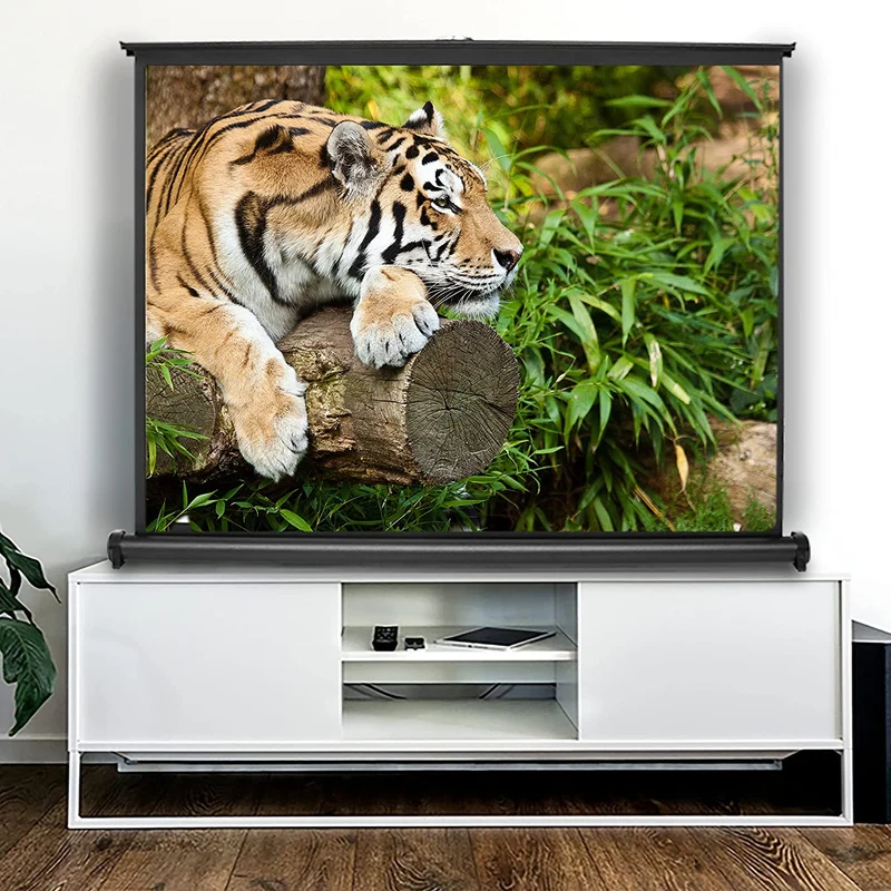 Duronic DPS50 4:3 Leinwand | 50 Zoll Mobile Beamerleinwand in Tragetasche mit 102 x 76 cm | 4:3 Heimkino mit 4K Full HD 3D | Gain 1.0 | Projektionsleinwand für Gaming, Büro, Präsentationen, Schulen