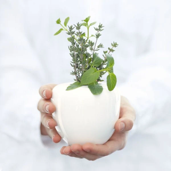 ASA Selection "à table" Vase
