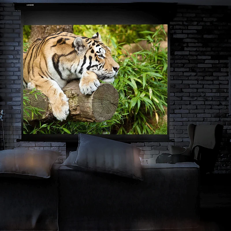 Duronic MPS70 Leinwand | 4:3 Rolloleinwand 70" Zoll 152 x 107 cm | Heimkino mit 4K Full HD 3D | Gain 1.0 | Projektionsleinwand für Decken und Wandmontage | Beamerleinwand für Büro und Präsentationen