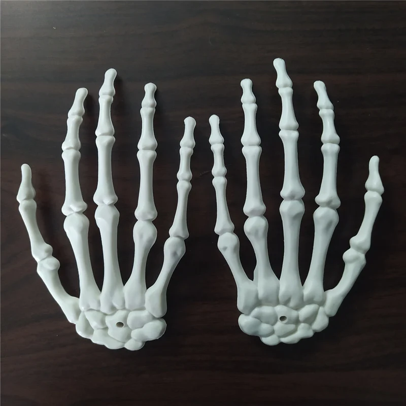 Anatomisches Hand-Skelettmodell Karnz