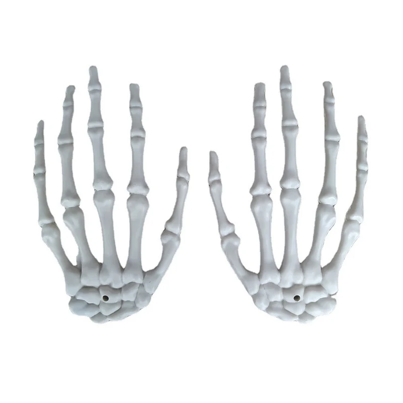 Anatomisches Hand-Skelettmodell Karnz