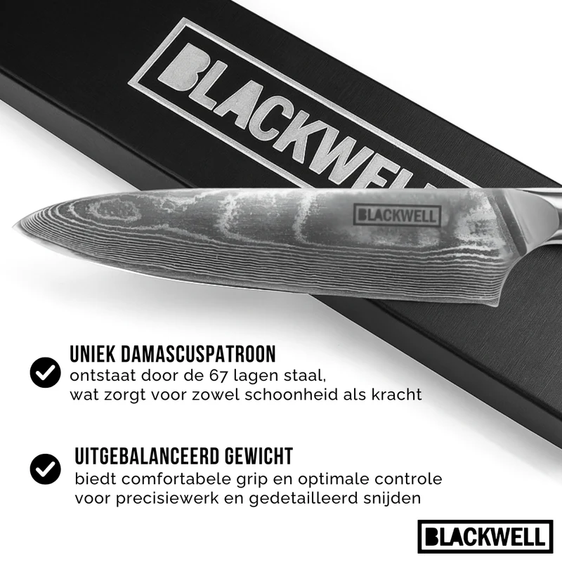 Blackwell Messerset (Kochmesser + Gemüsemesser / Nakiri-Messer) – Japanischer Stil – 67 Lagen Damaszenerstahl – VG10 – 2-teilig