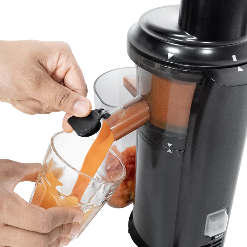 Slow Juicer