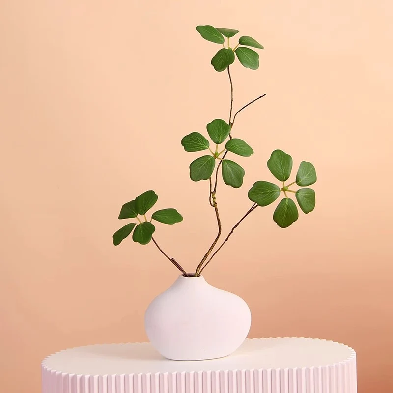 Minimalistische dekorative Pflanzenanordnung