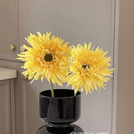 Dekorative Home Vase für die Innenraumgestaltung