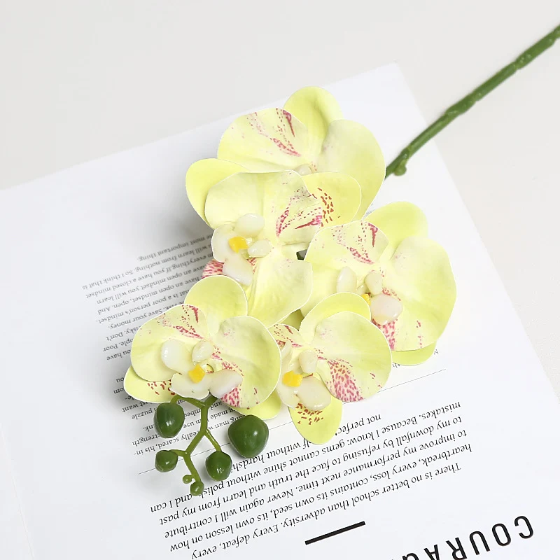 Realistische Orchideenblütenstängel