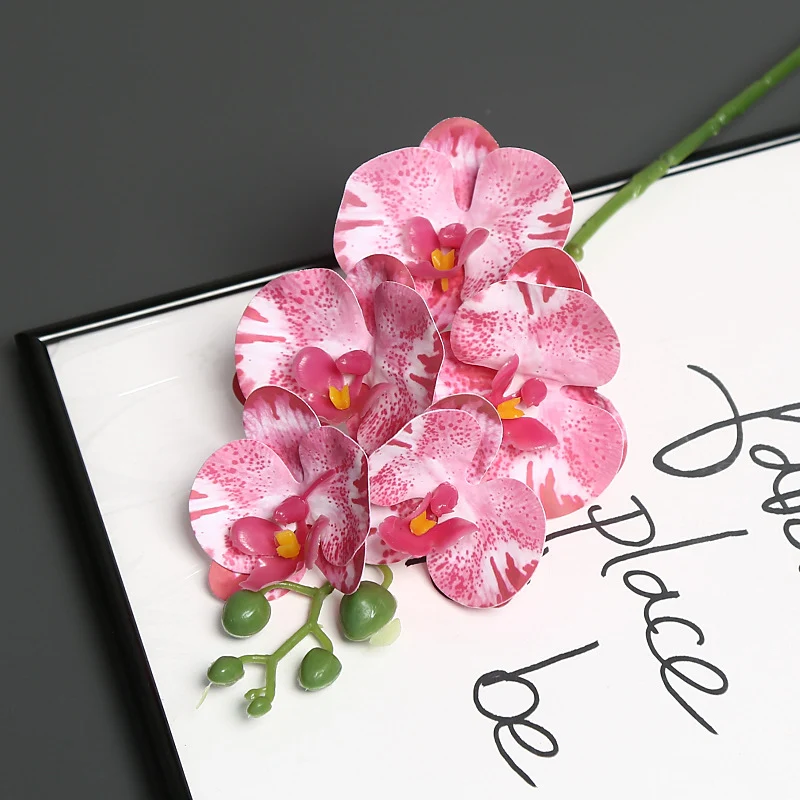 Lebensechter Orchideenblütenstiel