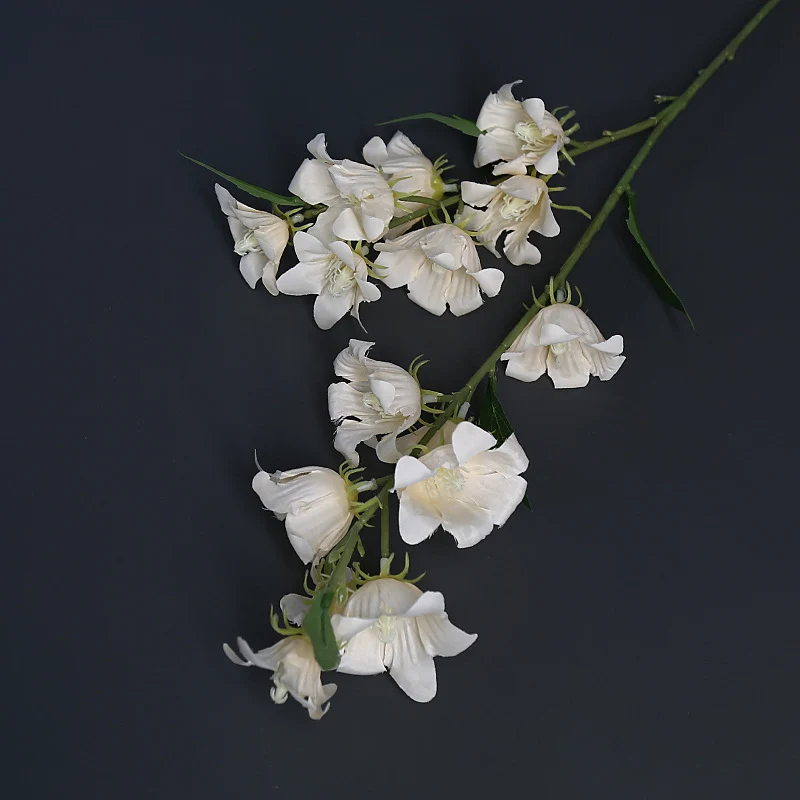 Florale Akzentstängel für die Wohnkultur-Darstellung