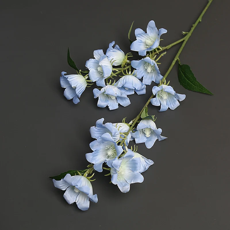 Florale Akzentstängel für die Wohnkultur-Darstellung