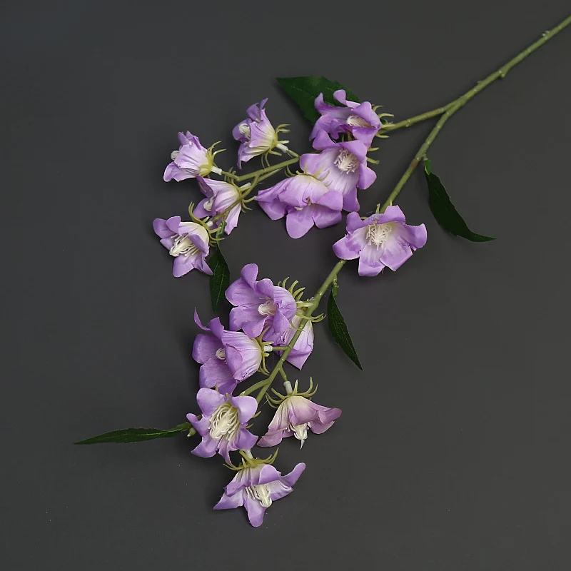 Florale Akzentstängel für die Wohnkultur-Darstellung