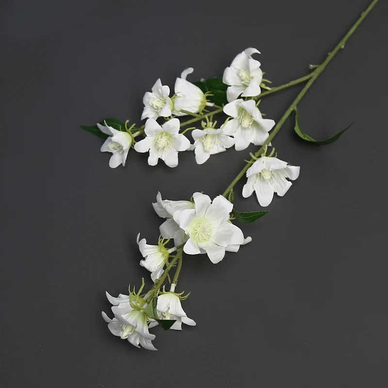 Florale Akzentstängel für die Wohnkultur-Darstellung