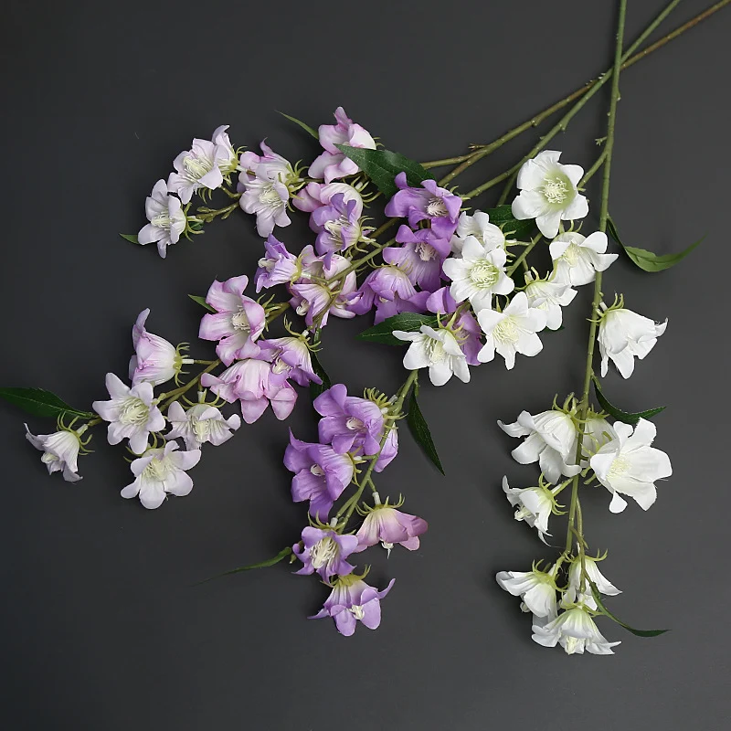 Florale Akzentstängel für die Wohnkultur-Darstellung