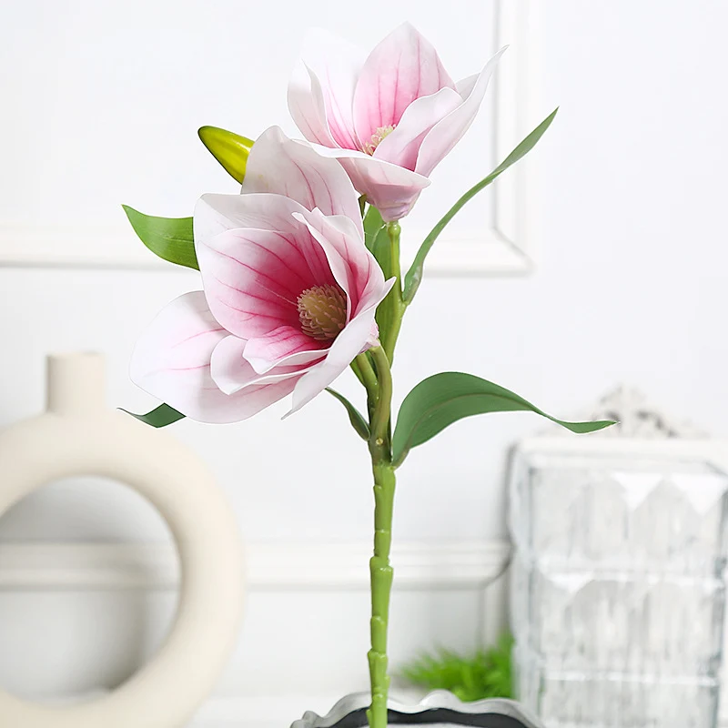 Elegantes Magnolien-Blumenarrangement für die Wohnkultur