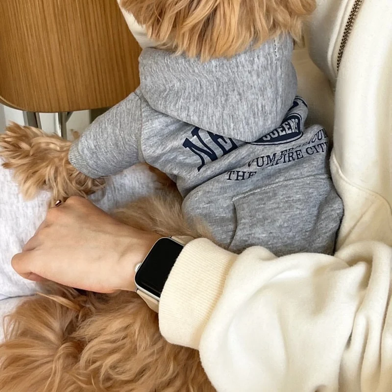Kleiner Hund Baumwollfleece Hoodie mit Grafik New York Queens Druck