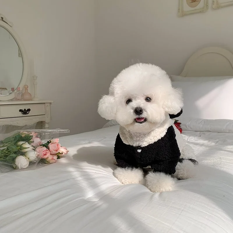 Sherpa-Fleece-Panda-Hoodie-Harness-freundlicher Hundemantel