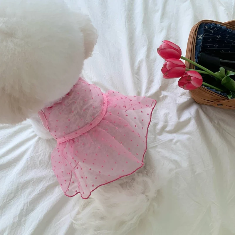 Durchsichtiges Organza-Punktemuster-Hundekleid mit Rüschensaum und Geschirröffnung