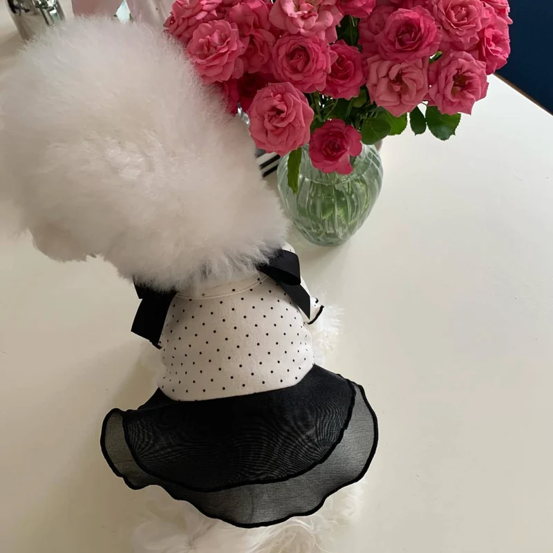 Polka Dot Chiffon Kleid für Haustiere mit Grosgrain