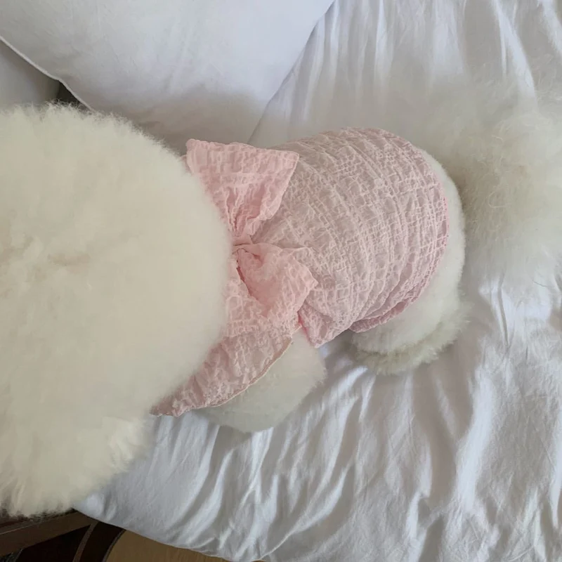 Spitzen-Raffung-Hundekleid mit dekorativem Rücken
