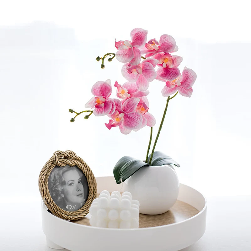 Dekorative Blumen für die Wohnkultur-Darstellung