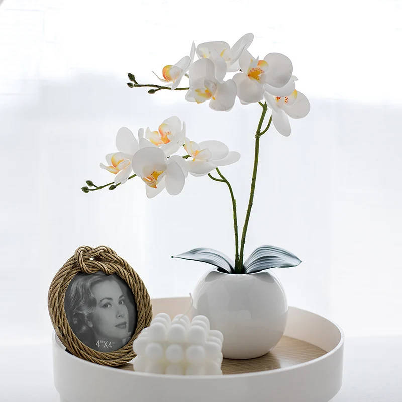 Dekorative Blumen für die Wohnkultur-Darstellung