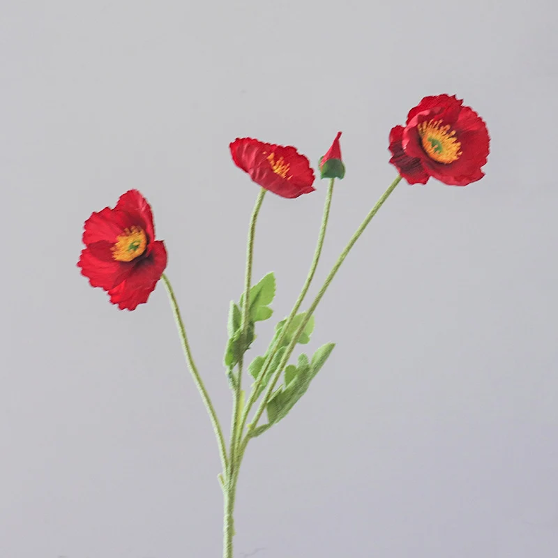 Lebensechte Mohnblumenstängel