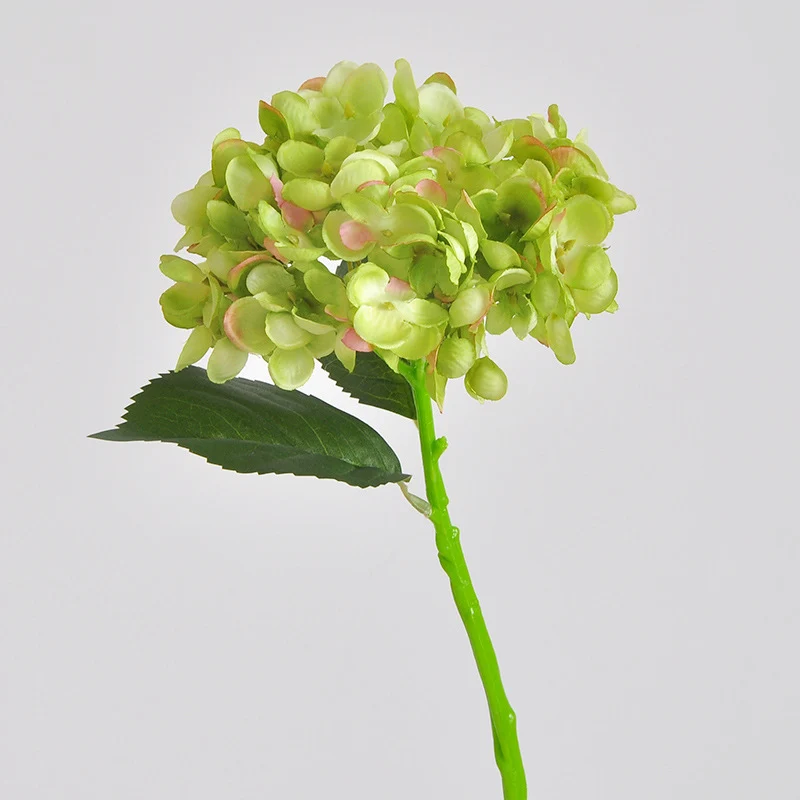 Elegante Kunsthortensienstängel