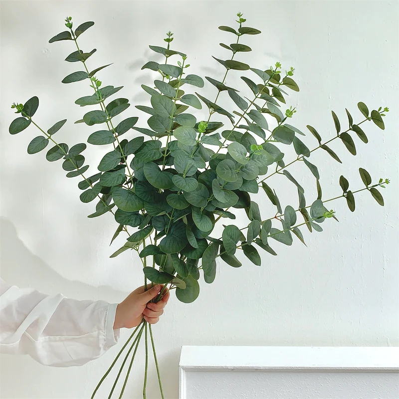 Eukalyptus Dekorative Anordnung