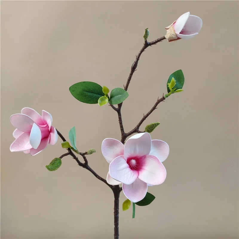 Elegante Seidenmagnolienblütenzweig
