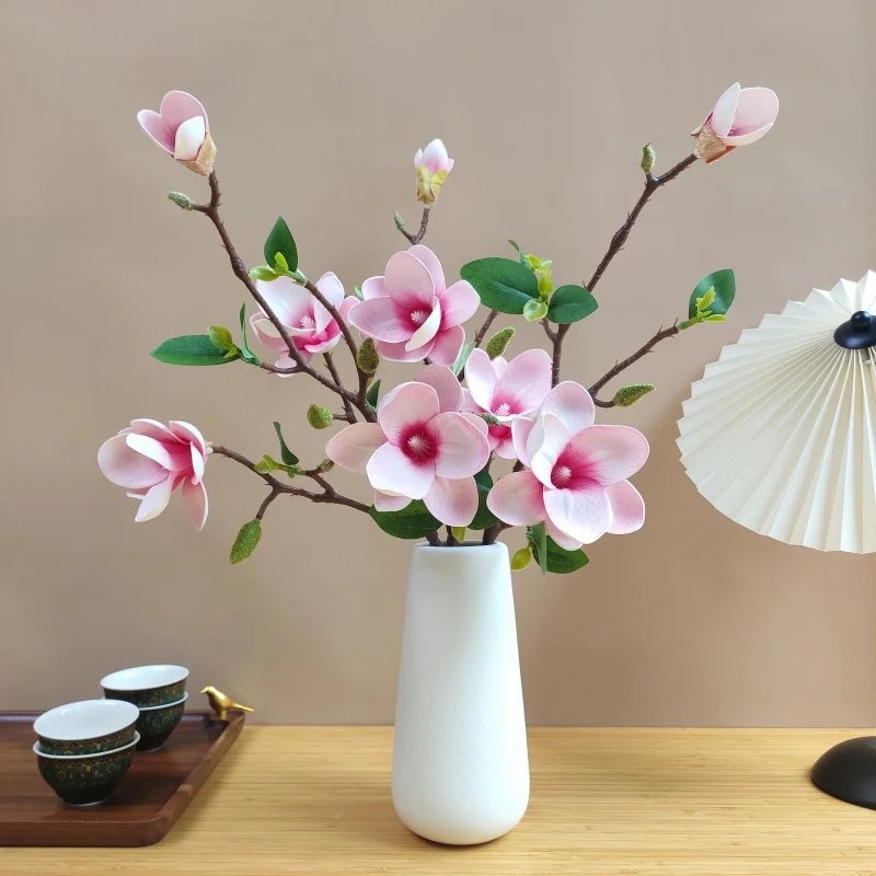 Elegante Seidenmagnolienblütenzweig