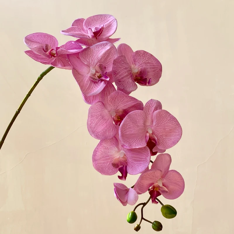 Elegante Künstliche Orchideenblütenstängel