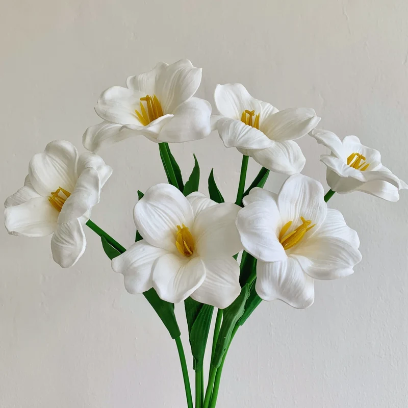 Heimdekorative Blume