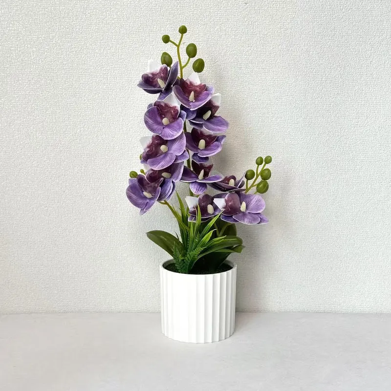 Realistische Indoor-Orchideenpflanzenanordnung