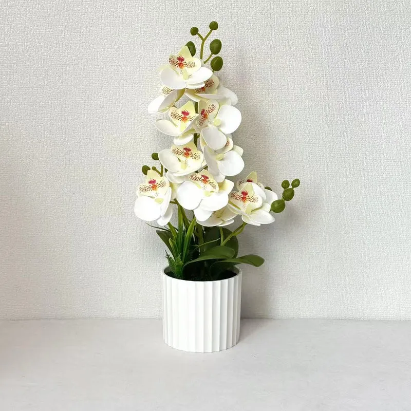 Realistische Indoor-Orchideenpflanzenanordnung