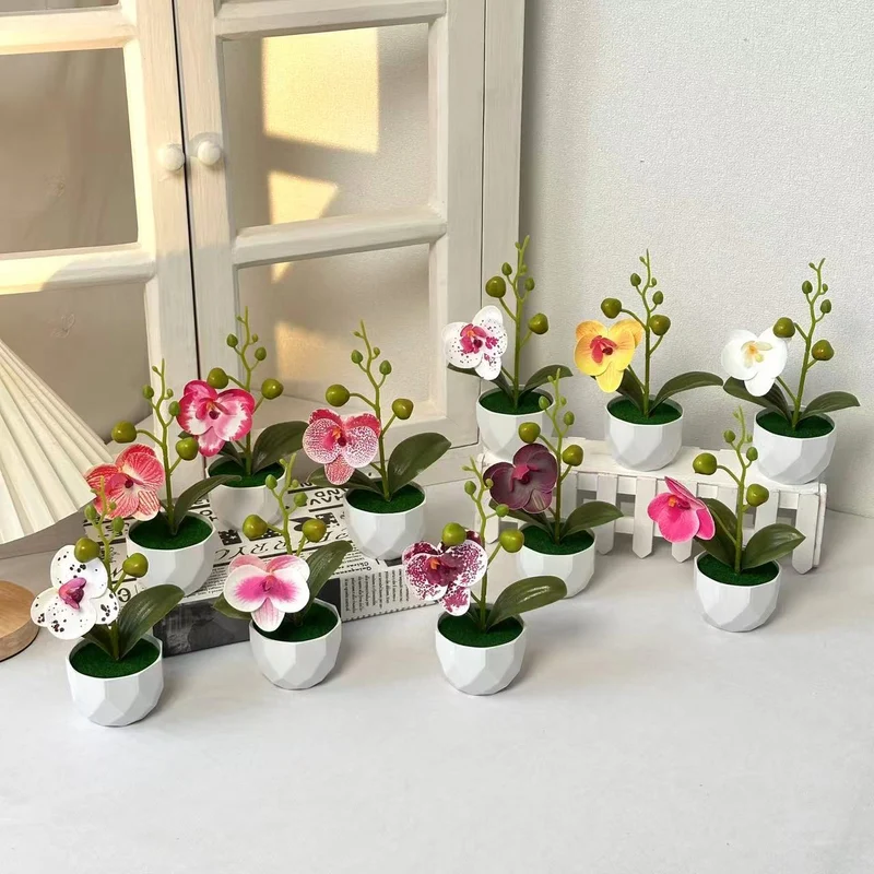 Orchideenpflanzenarrangement