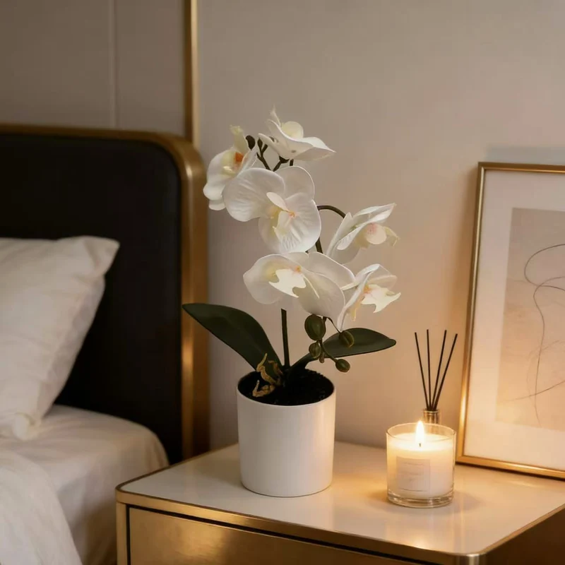 Lifelike Phalaenopsis-Orchideenpflanzenanordnung