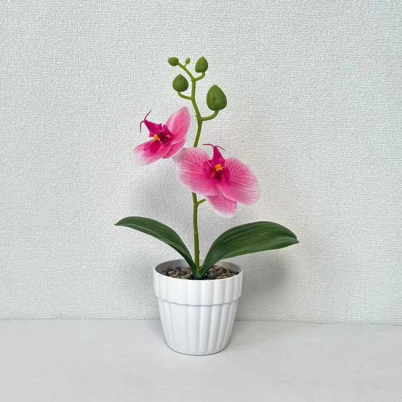 Lebensechte Orchidee Pflanze in dekorativem Keramiktopf für Dekor