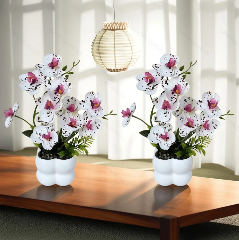 Lebensechte Orchideen-Blumenanzeige