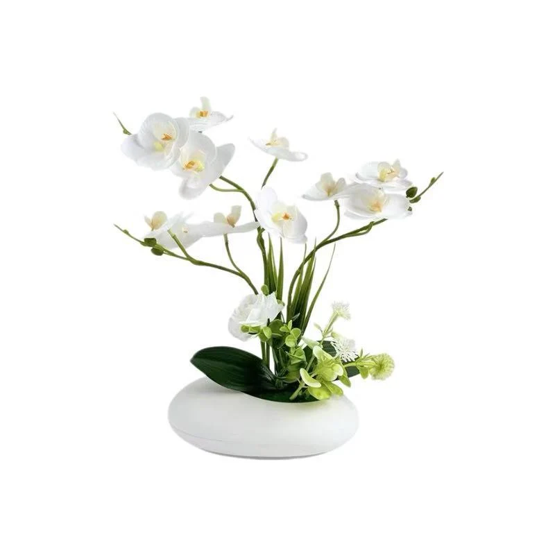 Lebensechte Orchideen Dekorative Mittelstück