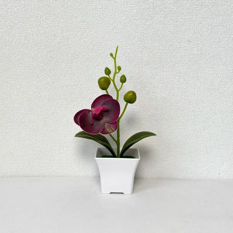 Lebensnahe Miniatur-Orchideenpflanze