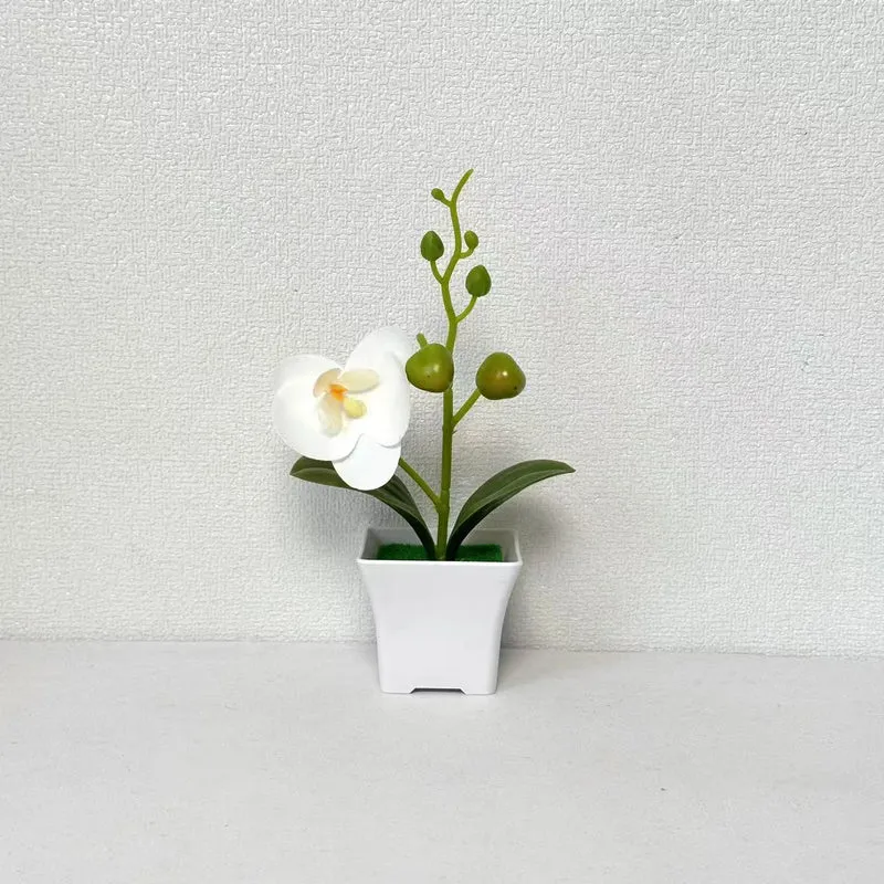Lebensnahe Miniatur-Orchideenpflanze