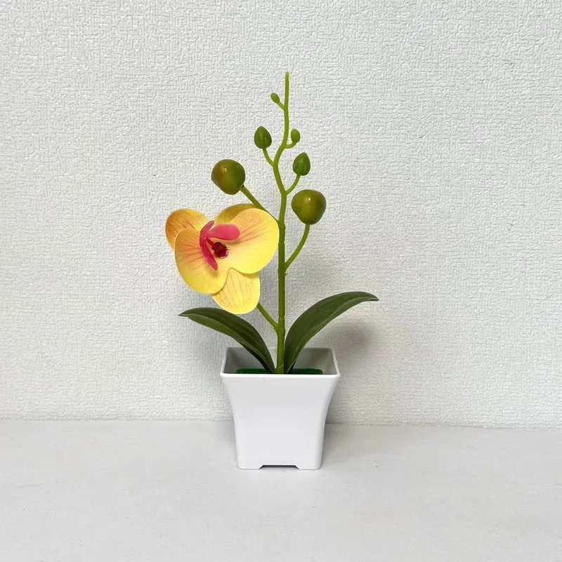Lebensnahe Miniatur-Orchideenpflanze